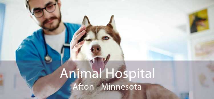 Animal Hospital Afton - Minnesota