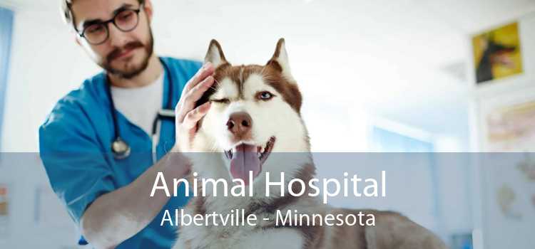 Animal Hospital Albertville - Minnesota
