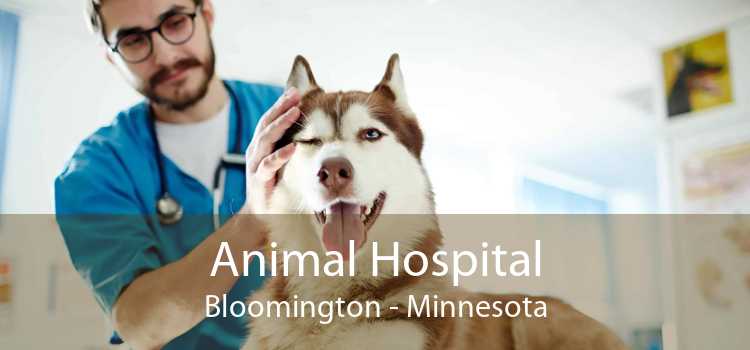Animal Hospital Bloomington - Minnesota
