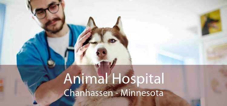 Animal Hospital Chanhassen - Minnesota