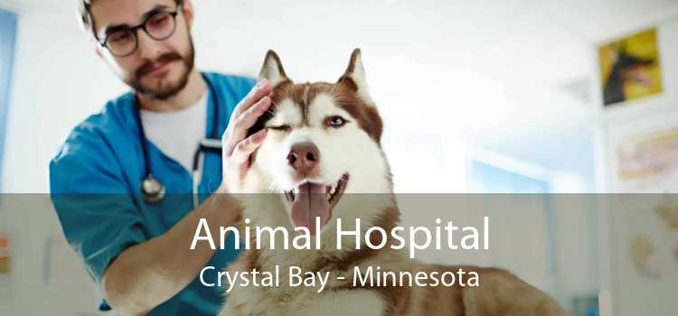 Animal Hospital Crystal Bay - Minnesota