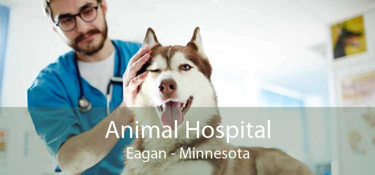 Animal Hospital Eagan - Minnesota