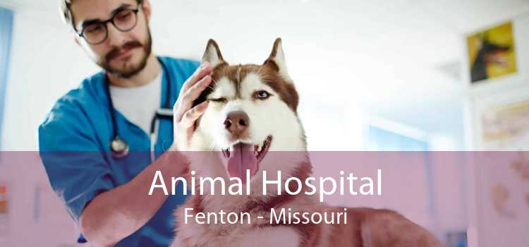 Animal Hospital Fenton - Missouri