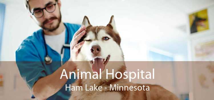 Animal Hospital Ham Lake - Minnesota