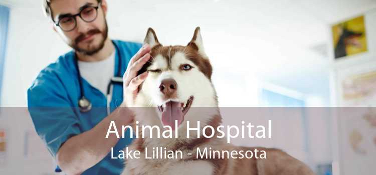Animal Hospital Lake Lillian - Minnesota
