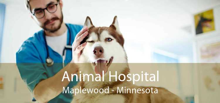 Animal Hospital Maplewood - Minnesota