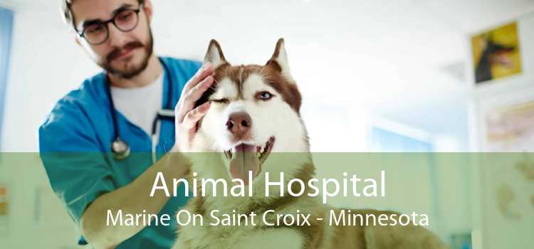 Animal Hospital Marine On Saint Croix - Minnesota