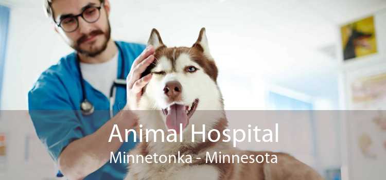Animal Hospital Minnetonka - Minnesota