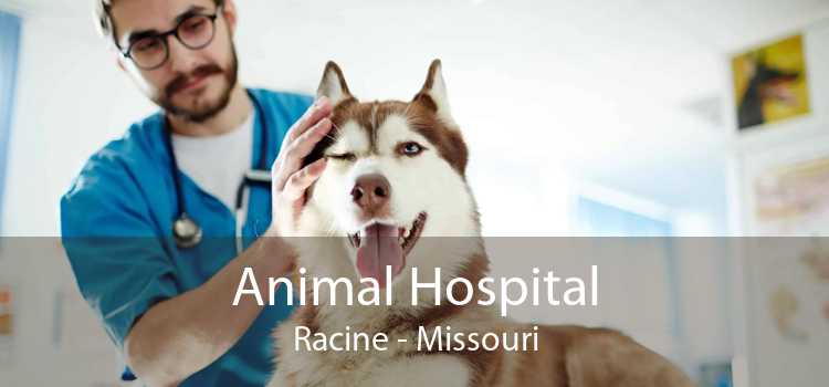 Animal Hospital Racine - Missouri