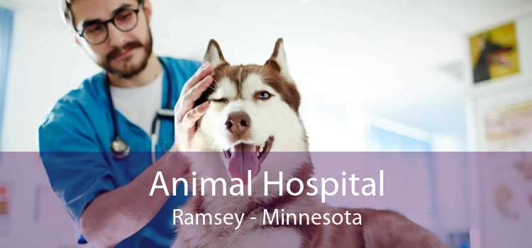 Animal Hospital Ramsey - Minnesota