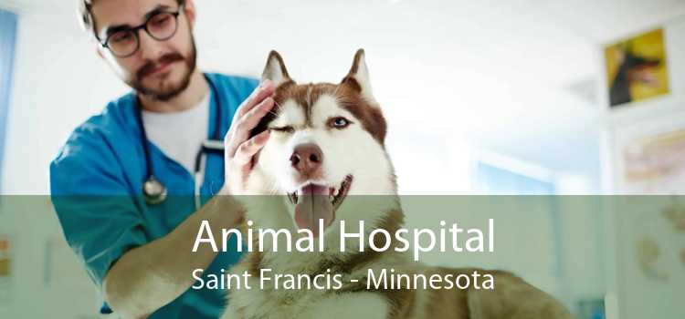 Animal Hospital Saint Francis - Minnesota