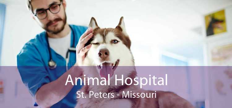 Animal Hospital St. Peters - Missouri