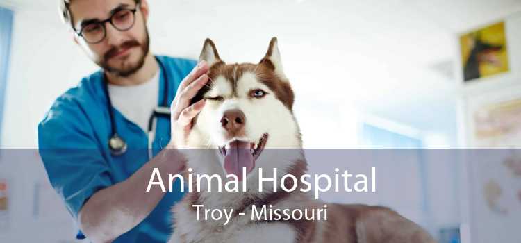 Animal Hospital Troy - Missouri