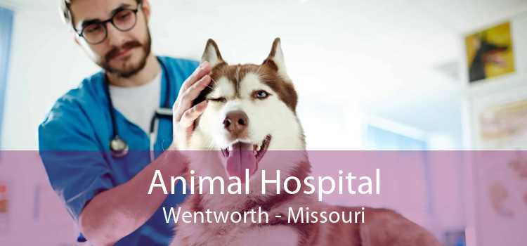 Animal Hospital Wentworth - Missouri