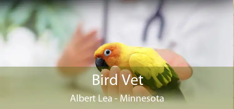 Bird Vet Albert Lea - Minnesota