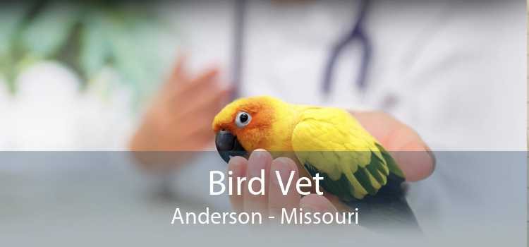 Bird Vet Anderson - Missouri