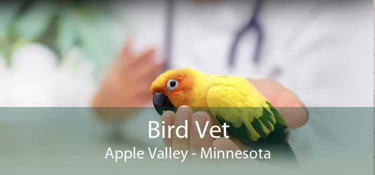 Bird Vet Apple Valley - Minnesota