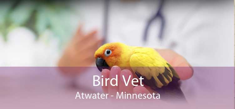 Bird Vet Atwater - Minnesota