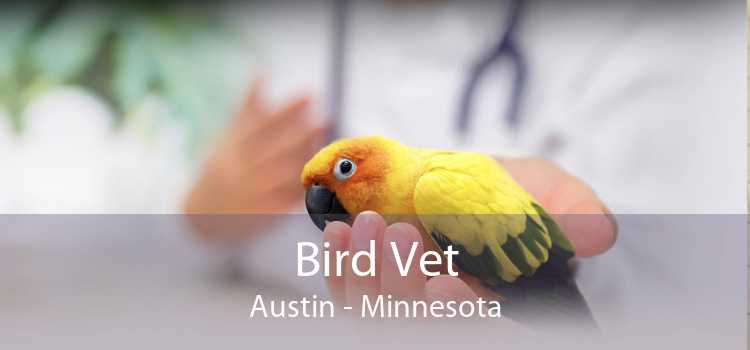 Bird Vet Austin - Minnesota