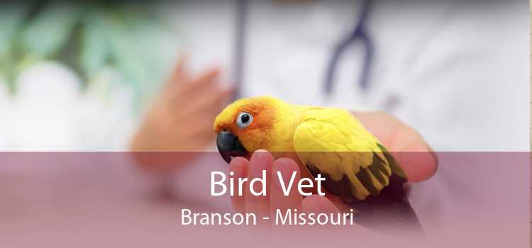 Bird Vet Branson - Missouri