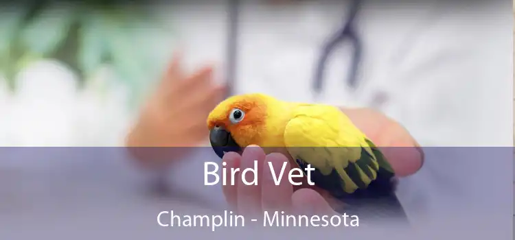 Bird Vet Champlin - Minnesota