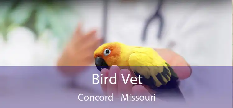 Bird Vet Concord - Missouri