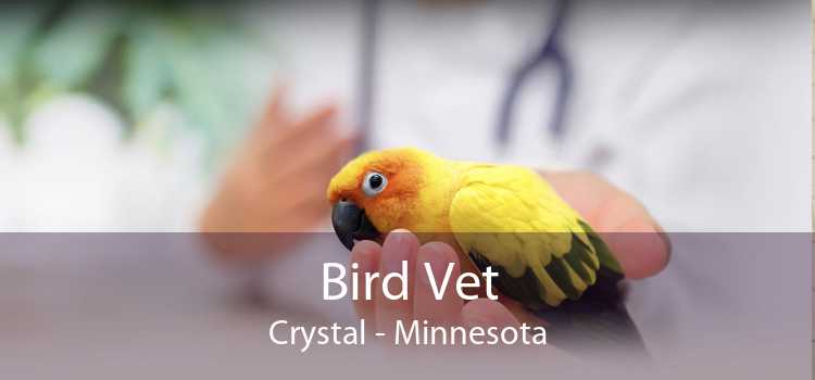 Bird Vet Crystal - Minnesota
