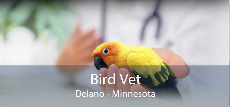 Bird Vet Delano - Minnesota