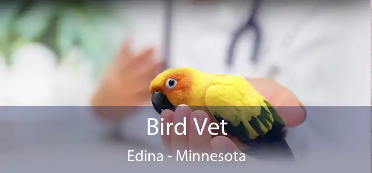 Bird Vet Edina - Minnesota