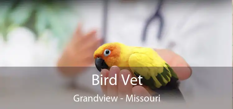 Bird Vet Grandview - Missouri