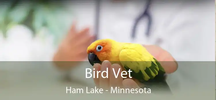 Bird Vet Ham Lake - Minnesota