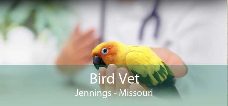 Bird Vet Jennings - Missouri