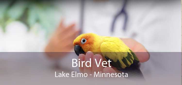 Bird Vet Lake Elmo - Minnesota