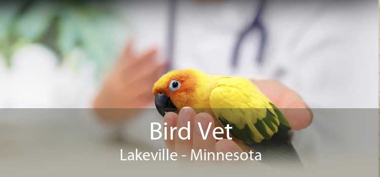 Bird Vet Lakeville - Emergency Exotic Avian Vet Near Me