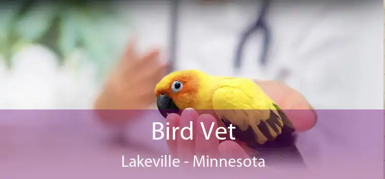 Bird Vet Lakeville - Minnesota