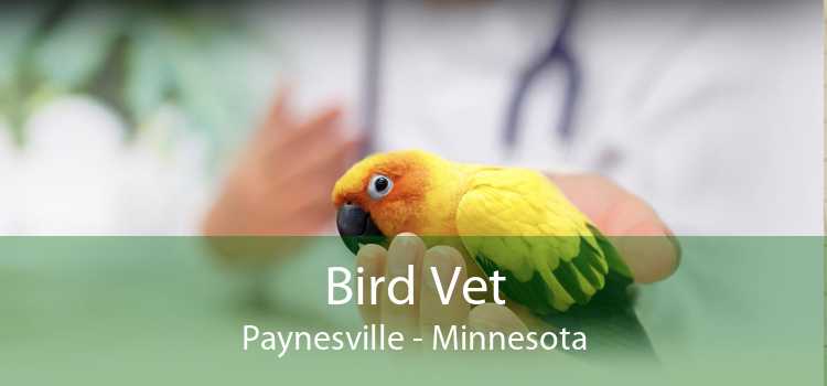 Bird Vet Paynesville - Minnesota