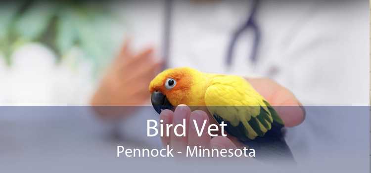 Bird Vet Pennock - Minnesota
