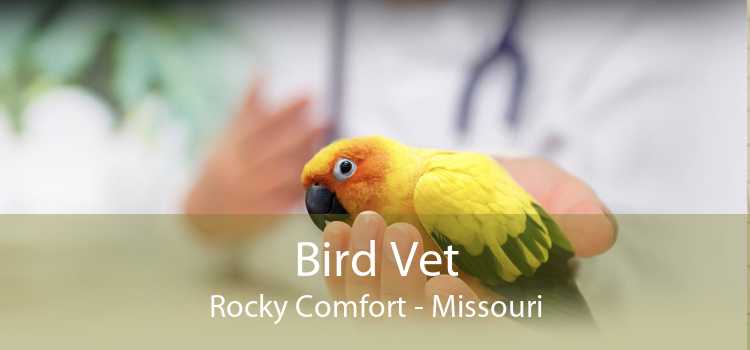 Bird Vet Rocky Comfort - Missouri