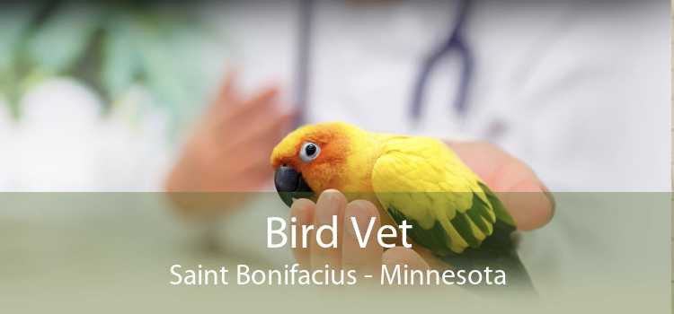 Bird Vet Saint Bonifacius - Minnesota