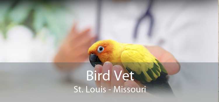 Bird Vet St. Louis - Missouri
