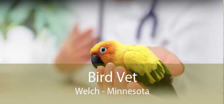 Bird Vet Welch - Minnesota