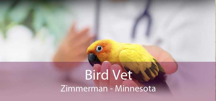 Bird Vet Zimmerman - Minnesota