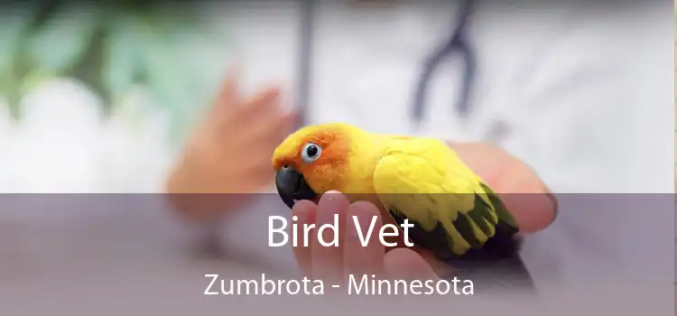 Bird Vet Zumbrota - Minnesota