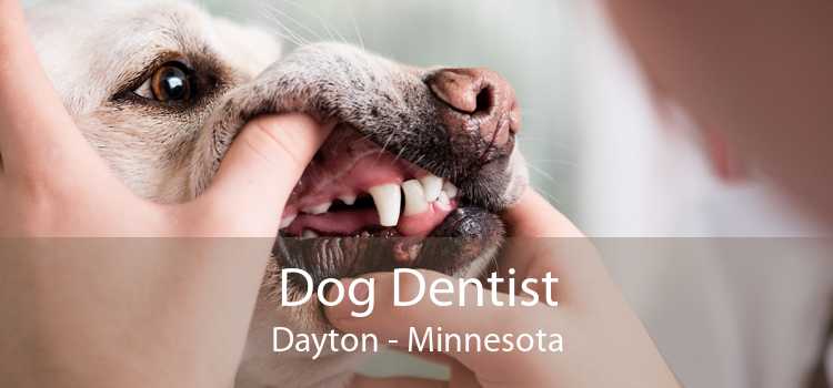 Dog Dentist Dayton - Minnesota