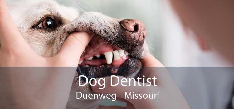 Dog Dentist Duenweg - Missouri