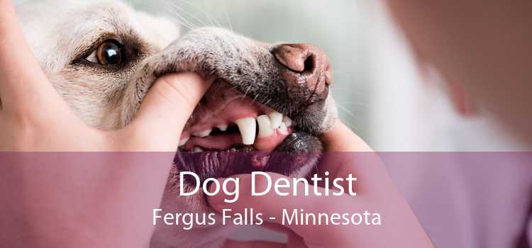Dog Dentist Fergus Falls - Minnesota