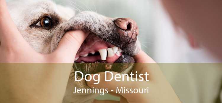 Dog Dentist Jennings - Missouri