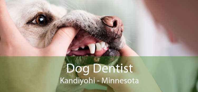 Dog Dentist Kandiyohi - Minnesota