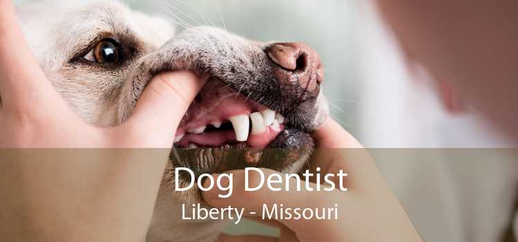 Dog Dentist Liberty - Missouri