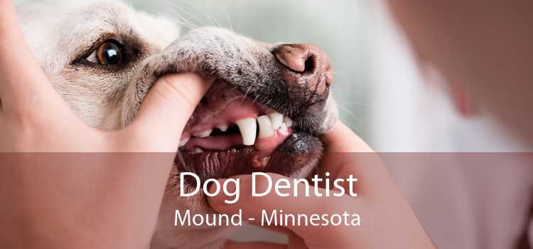 Dog Dentist Mound - Minnesota